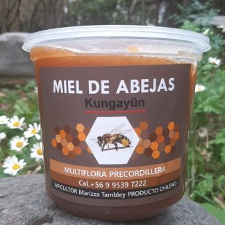 Miel Multiflora Pre cordillera 1 kilo