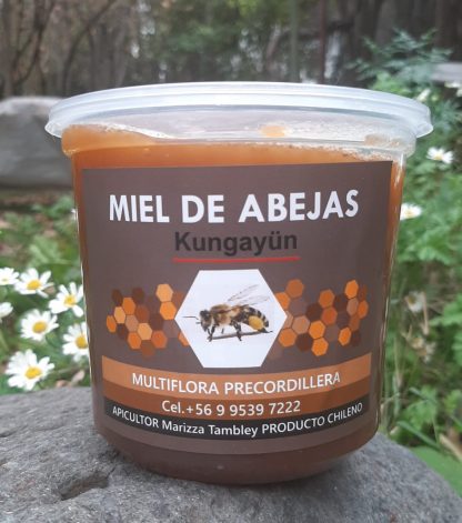 Miel Multiflora Pre cordillera 1 kilo