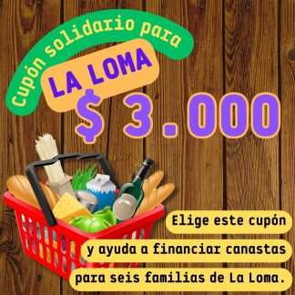 a. Ayuda solidaria para familias de la Loma $3.000