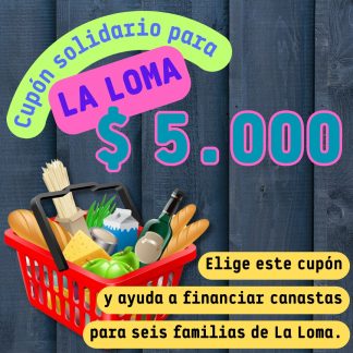 a. Ayuda solidaria para familias de la Loma $5000