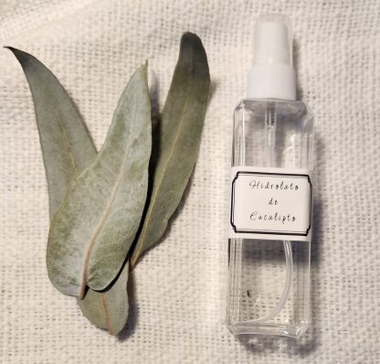 Hidrolato de Eucalipto